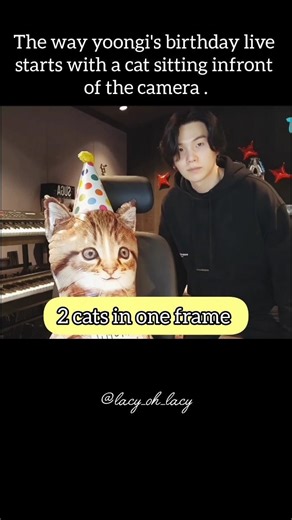 ✨❤️2 cats one frame❤️✨#suga#yoongi#minyoongi#cat#bts#btsmember#kpop#fyp#fypage#viral#shorts#trending