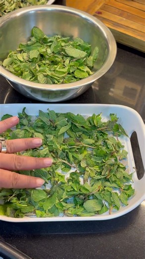 Pudina & Curry Patta Ko Mahino Tak Kaise Store Karein 🌿 | Mint & Curry Leaves Storage Hacks #food