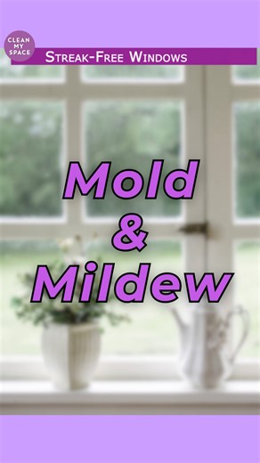 Melissa Maker on Instagram: "Learn how to clean MOLD & MILDEW from your window sills, frames and tracks. And also how to avoid it coming back again. Link in Bio"