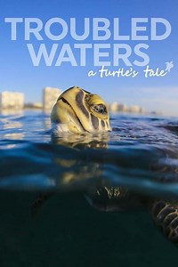Stream Troubled Waters: A Turtle's Tale (2019): Find it on Netflix, Prime Video, Hulu & more