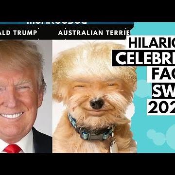 25 Most Hilarious Face Swap of Celebrities with Dogs || Dogs look like celebrities || Monkoodog