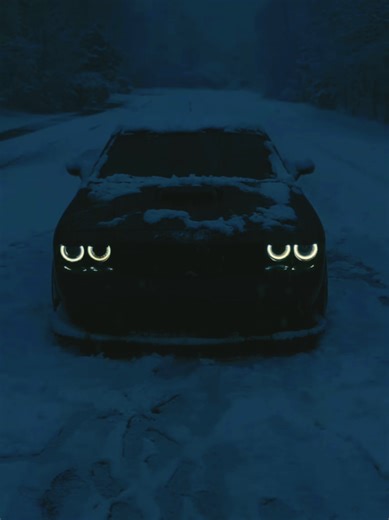 Відео користувача Volodymyr (@borivetsk) з композицією «оригинальный звук - AI MOVA»