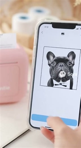 Turn Your iPhone Pics Into Stickers Fast!