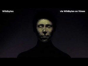 Face Projection Mapping