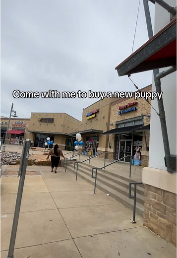 Choosing the Right Puppy: Tips for New Dog Moms
