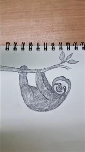 Cute Sloth Drawing | Pencil Sketch Step by Step #shorts #drawing #art