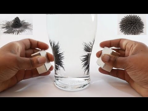 Magnetic Fields And Iron Filings | Epic Magnets