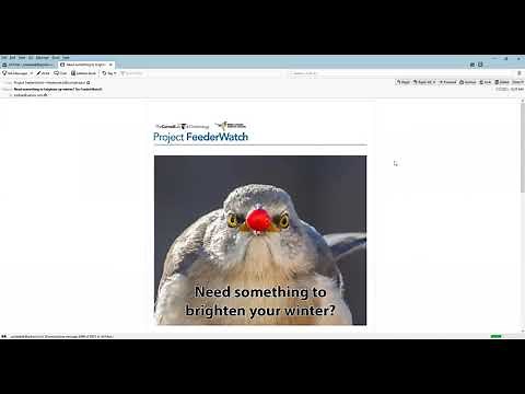 Thunderbird Received Message Display Settings
