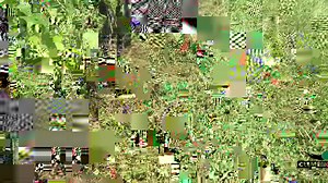 CLEMENS MULTICLEAN XL in action 👀👌🙂 // CLEMENS MULTICLEAN XL im Einsatz 👀👌🙂 | CLEMENS Technologies