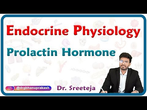 Prolactin Hormone : Endocrine Physiology USMLE Step 1