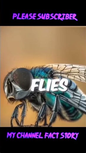 ​👁️ The World Through Different Eyes: How Animals Perceive Reality