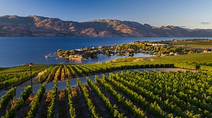 Drones in Kelowna: A resource for anyone wanting to fly