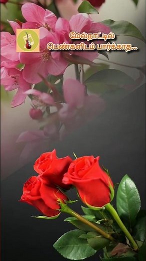 Oru Maina Maina Kuruvi Song Lyrics