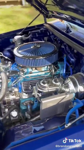 Brandon Gray (@brandongray3060)’s videos with original sound - Brandon Gray