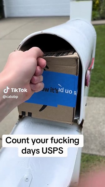About to rip the mailbox out the damn ground. Walk yo lazy ass up to my porch #fyp #foryou #foryoupage #jokes #comedy #funny #mail #amazon #tiktokshop