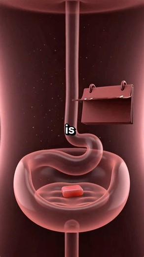 Gum Doesn't Get Stuck (Sorry Mom) #mythbusted #shorts