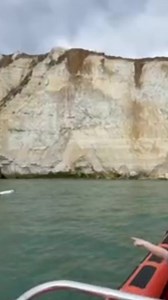 28K views · 130 reactions | Always keep dogs on a lead at the coast,...