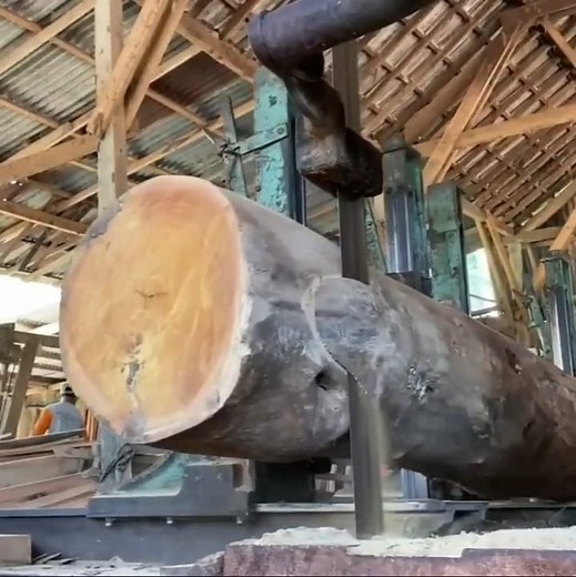 The best skill cutting wood with team work | Making Video