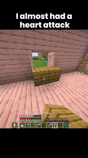 I almost had a heart attack #minecraft