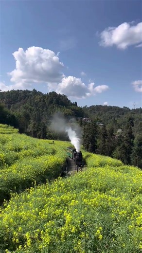 Spring's Little Train #🚥🌾🐝