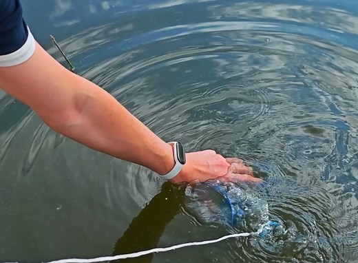 Catching, Cleaning, Cooking Fish Made Easy #fblifestyle | 5-Minute Workouts