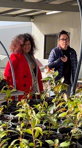 Inspiring to spend time with Kyran, Isaiah and all the Jerrinja Rangers! They care for Country, skilled in bush regeneration and are now trained firefighters. Programs like this are so important for keeping culture strong and creating meaningful jobs. 🌿❤️ | Senator Malarndirri McCarthy - Northern Territory
