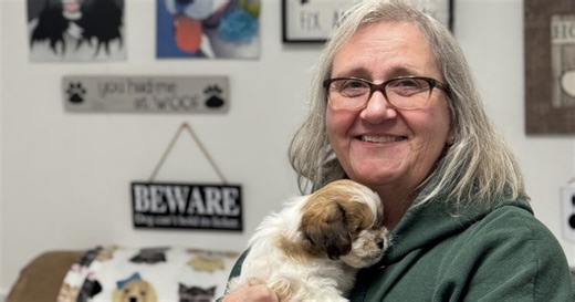 Wisconsin dog rescue saves animals from high-risk situations through foster-based program