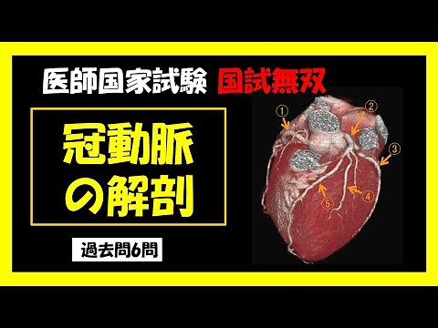 【医師国家試験】冠動脈の解剖