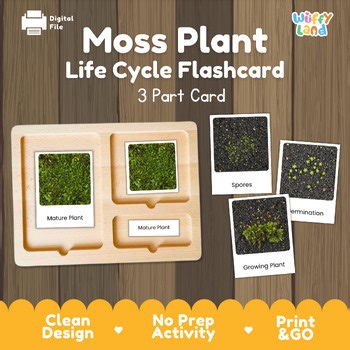 Moss Plant Life Cycle Montessori 3-Part Cards - Science Botany Flashcards