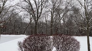 From Roy: Steady morning snow in EP. | ABC6 News | Facebook