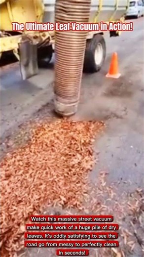 The Ultimate Leaf Vacuum in Action!#shortsfeed #process #AutumnVibes