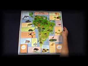 Animal Atlas