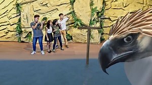 41K views · 346 reactions | Experience the first augmented reality in the Philippines only at Manila Ocean Park! #MOPMoments :) | Manila Ocean Park | Facebook