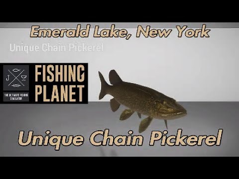 Unique Chain Pickerel Emerald Lake New York Fishing Planet Guide
