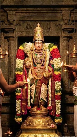 இன்று நான் உங்கள் வீடு தேடி வந்துள்ளேன் ஓம் முருகா போற்றி