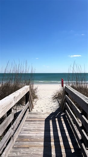 Today in Murrells Inlet, SC at Huntington Beach State Park.