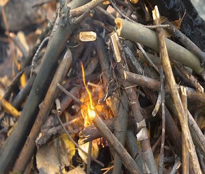 A wooden house in a forest with 14 episodes in a row, lasting 14 days in 4 hours. | Alone with nature