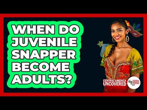 When Do Juvenile Snapper Become Adults?