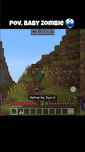 Minecraft Baby Zombie Moment 💀