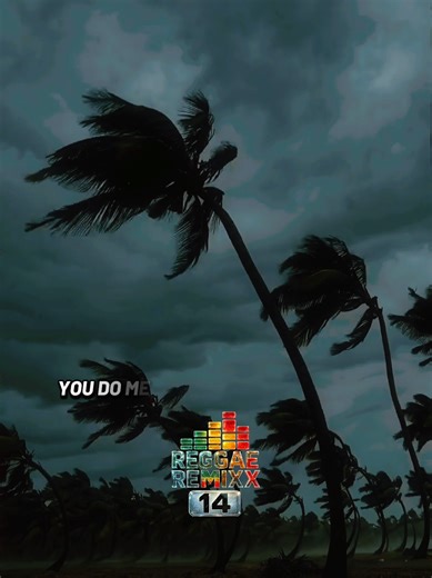 REGGAE REMIX 2026 - SELEÇÃO TOP 6 (EXCLUSIVAS) MUSICA REGGAE INTERNACIONAL REGGAE MARANHÃO 2026 musicareggae 💚💛❤️ #reggae #remix #viralizarnotiktok