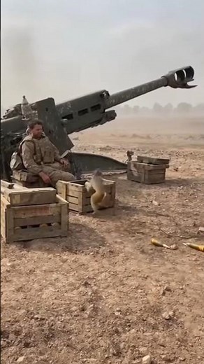 Monkey fire Artillery unbelievable moments