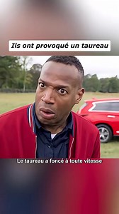 Ils ont provoqué un taureau #fantasy #film #fyp #movie #france | Trip Hop