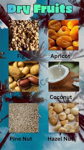 Dry Fruits Names in English | Fig, Apricot, Peanut & More 🥜📝