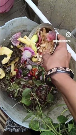 # environment safety#viralcedio# kitchen waste management