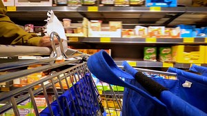 Not all product recalls are the same. Here is the difference between voluntary and mandatory recalls and what it means for you. | USA TODAY Video