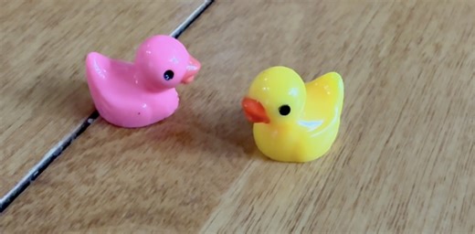 Watch Mini Duck Review! on Amazon Live