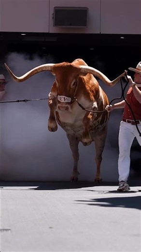 Contact ❌ Hooks ✅ #shorts #viral #trandingshorts #hook