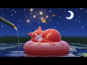 12 Hours of Soothing Cat Music Relaxation Therapy Sounds for Stress Relief and Peaceful Comfort