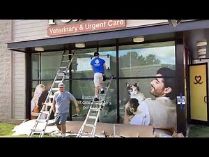 Installing Window Graphics