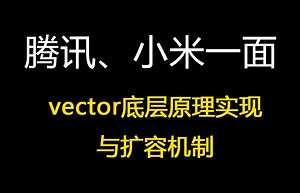 腾讯、小米一面：vector底层原理实现与扩容机制，vector各大厂面试题集锦